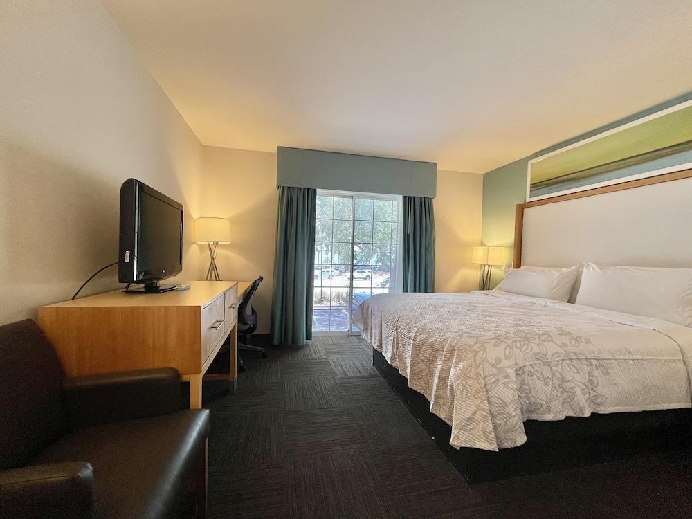Red Roof Inn PLUS+ & Suites Tampa photo 13