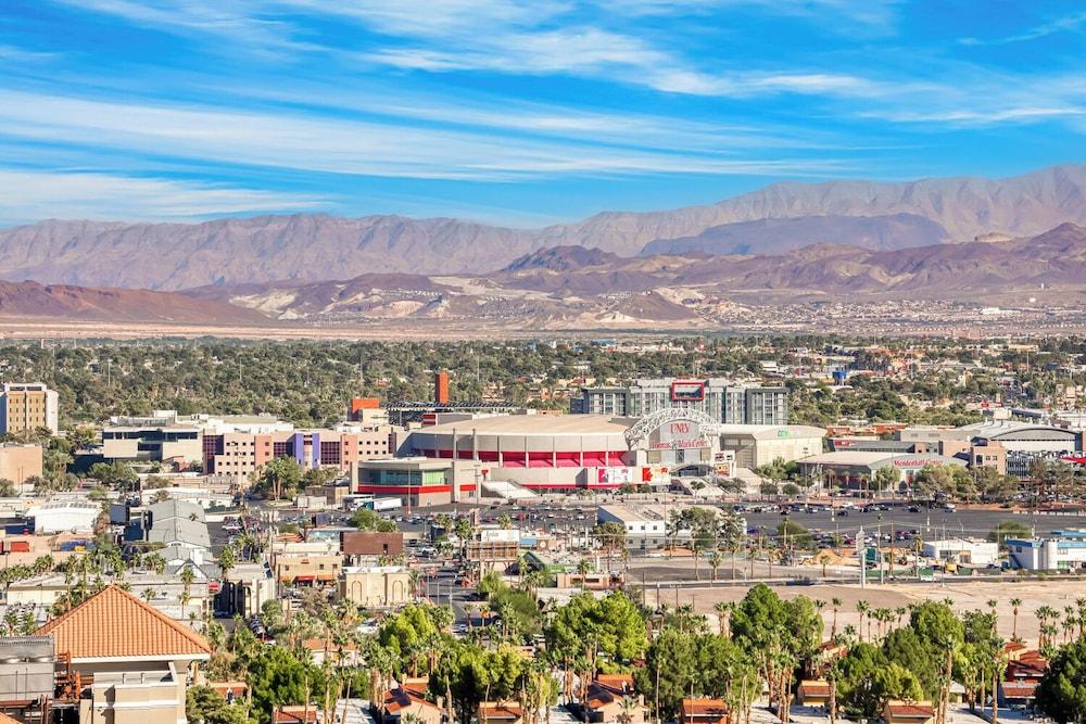 MGM Signature - Las Vegas photo 14