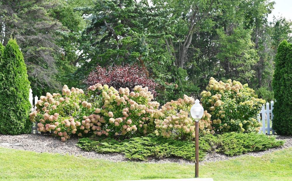 Fellows Creek Lodge photo 32
