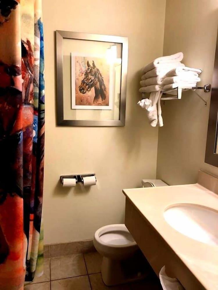 Cedar Stables Inn and Suites photo 11