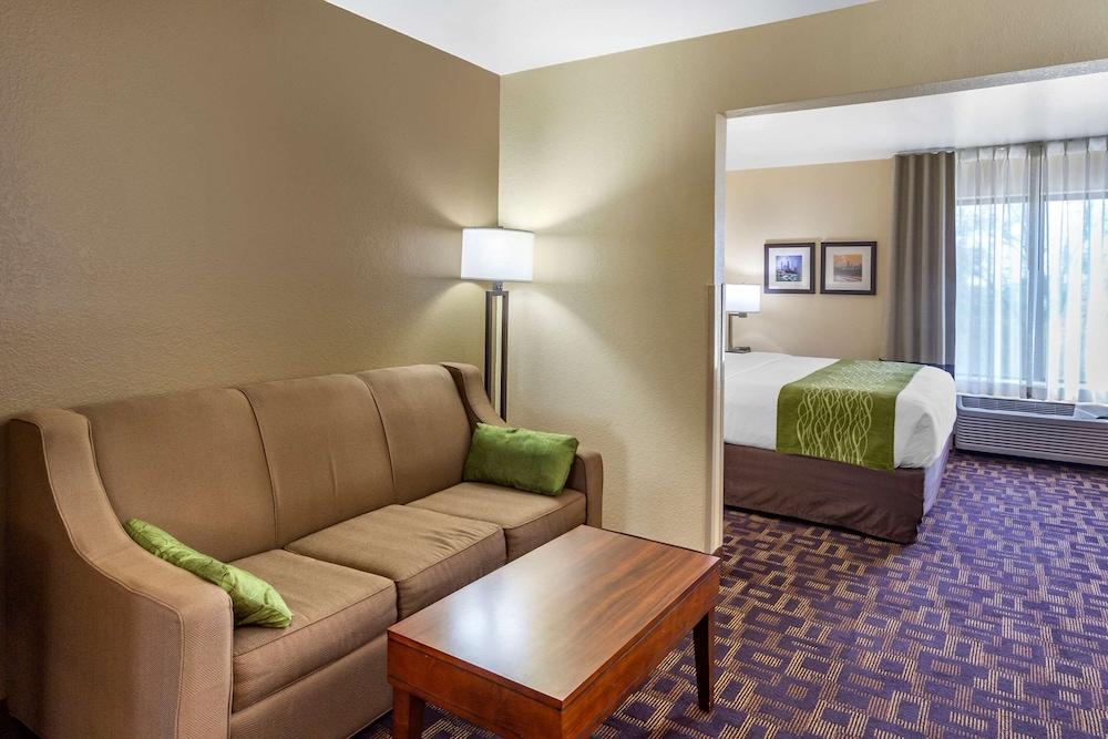 Comfort Inn & Suites North Aurora - Naperville photo 17