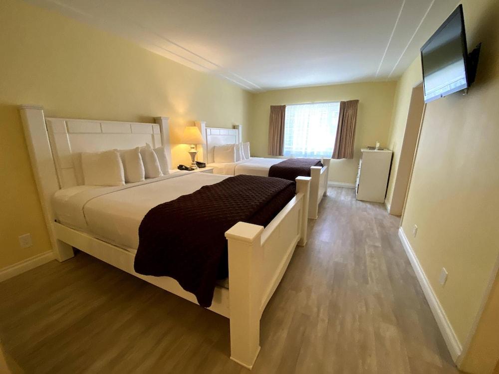 Hollywood Celebrity Hotel photo 11