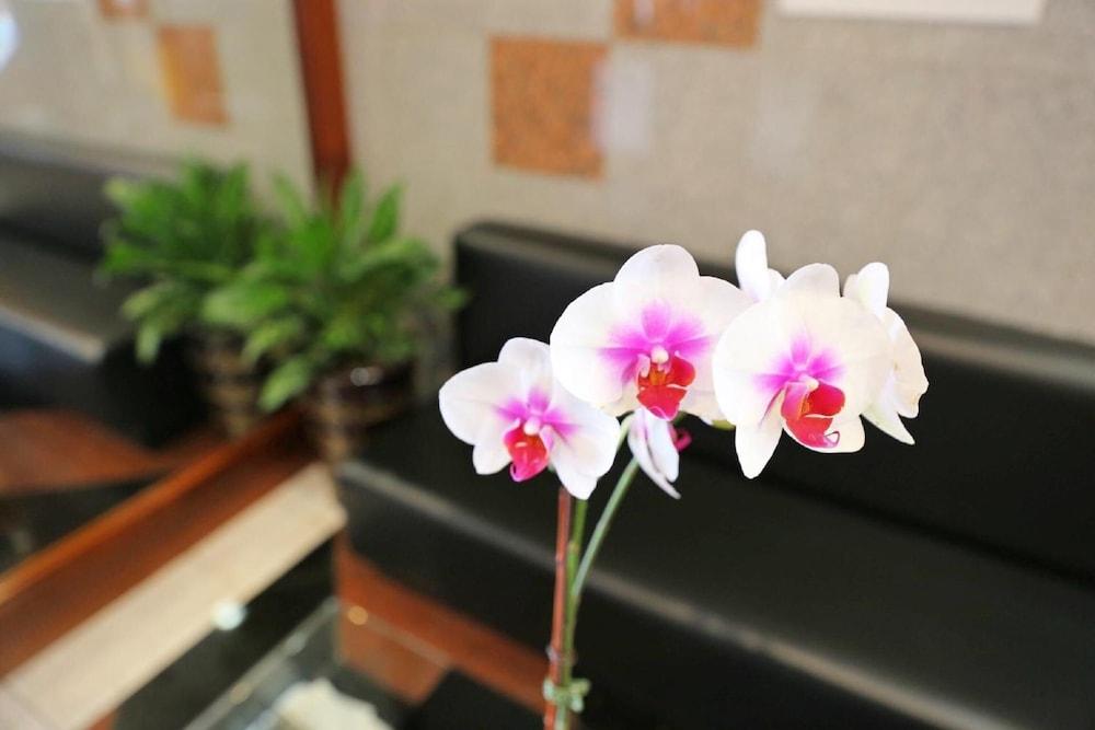 Phoenix Hotel photo 26