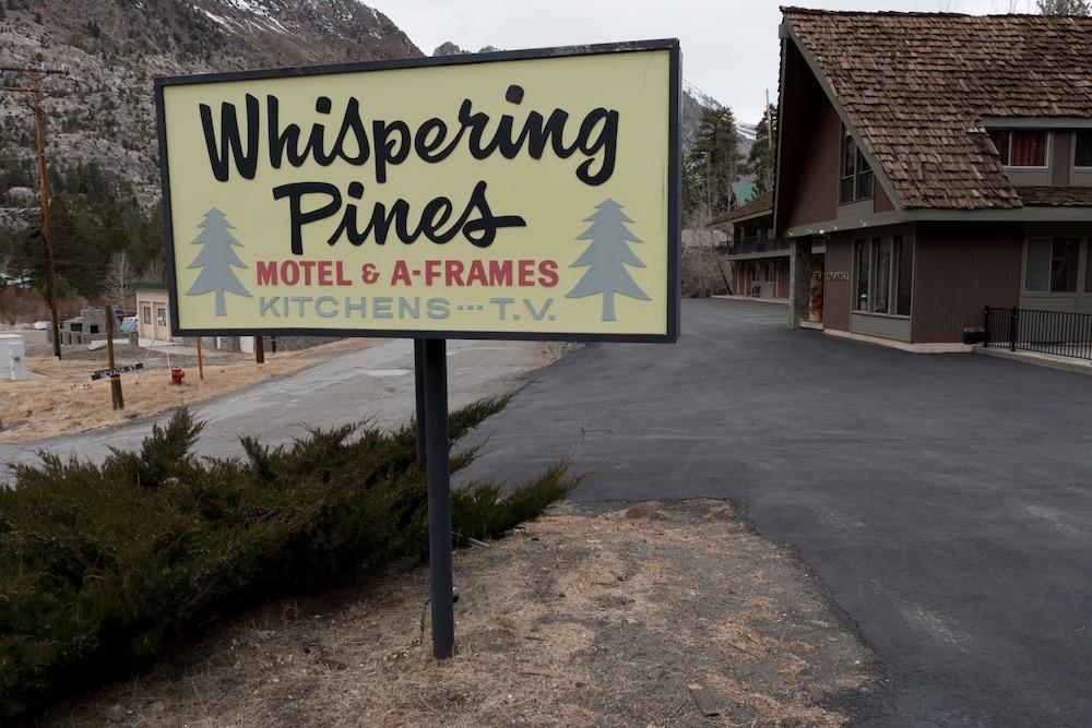 Whispering Pines photo 12