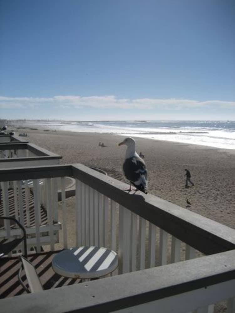 Inn On The Beach photo 19