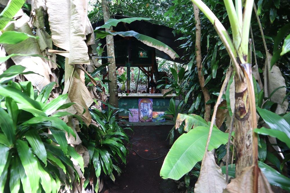 Cinderland EcoVillage - Hostel photo 5