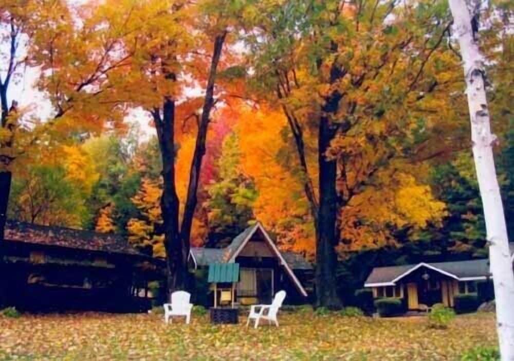 Amber Lantern Lake George Motel and Cottage Rentals photo 40