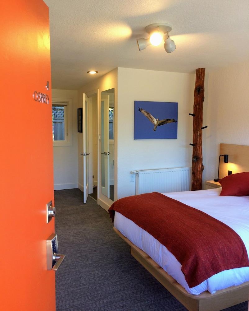 Heliotrope Hotel photo 5