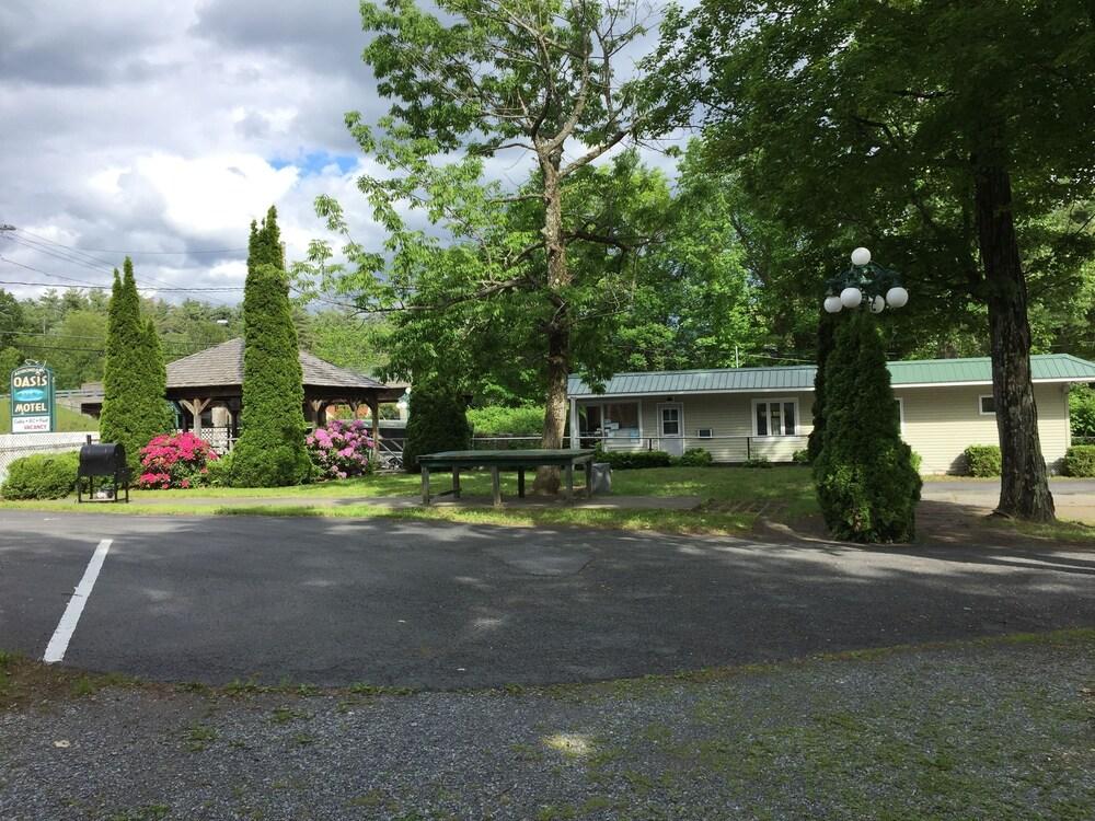 Adirondack Oasis Motel photo 8