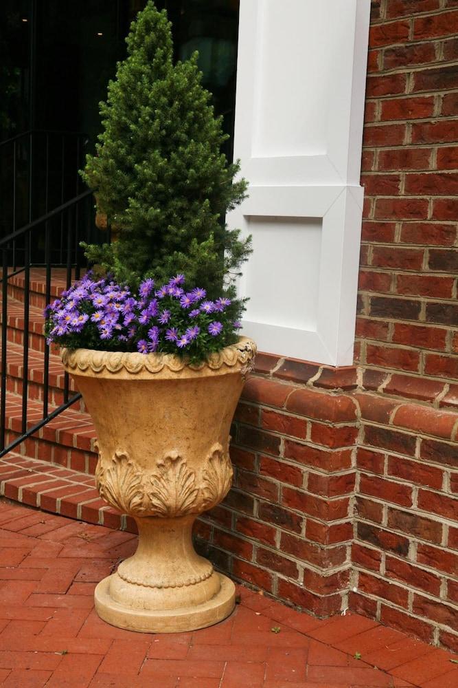 Main Street Inn photo 34