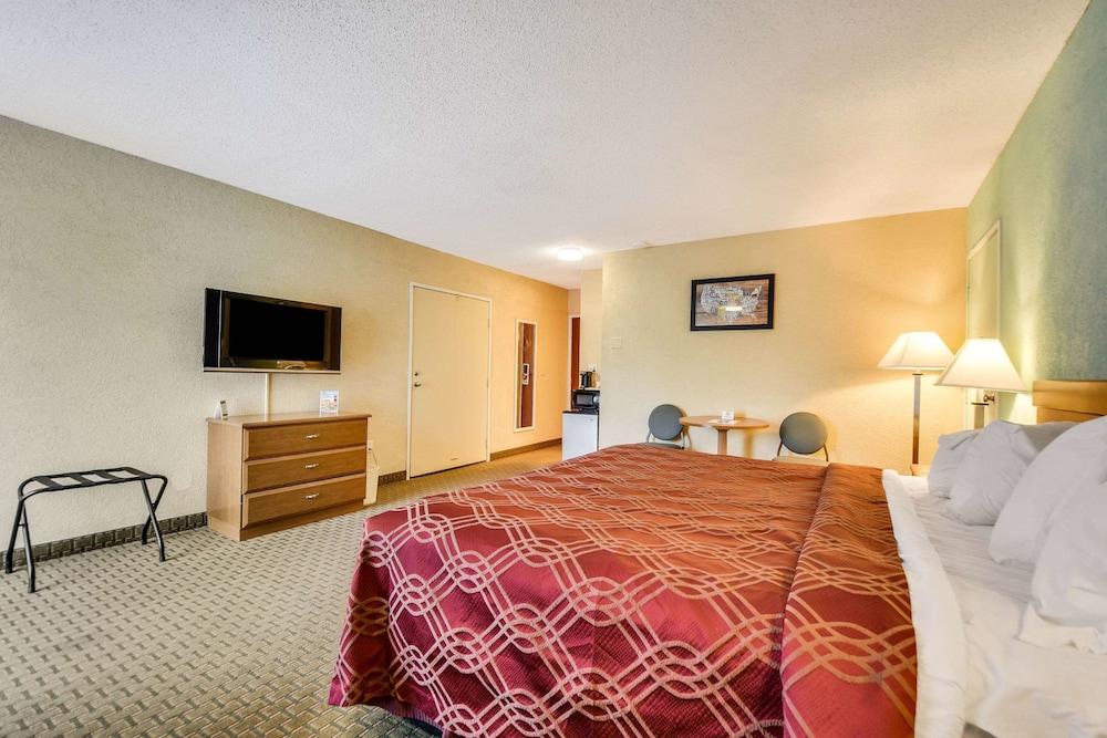 Econo Lodge Tampa near Busch Gardens photo 37