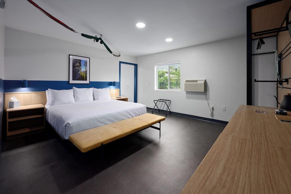 LOGE Missoula photo 27