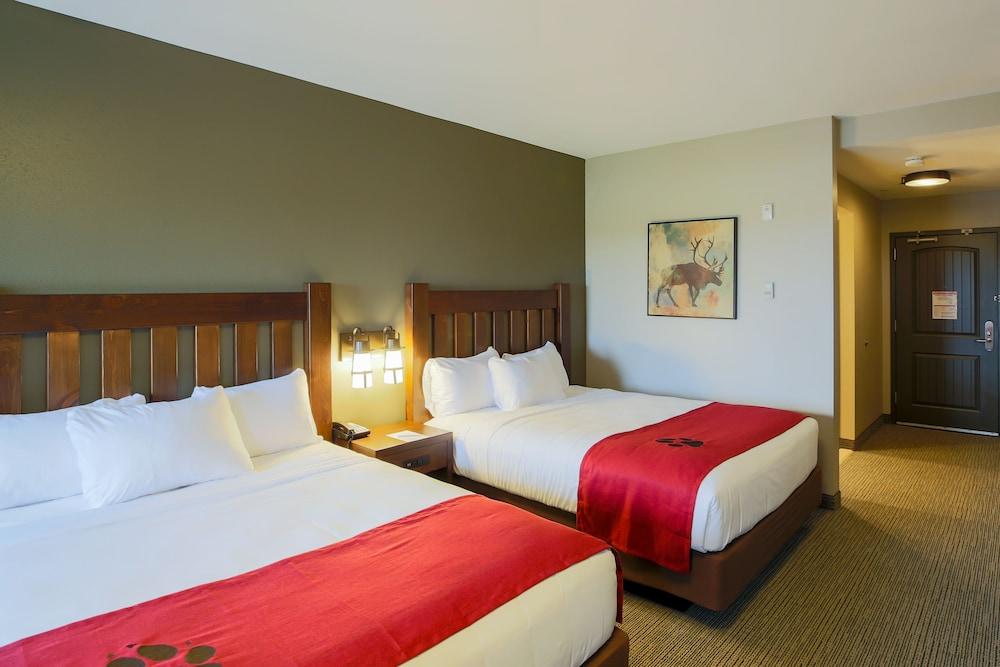 Great Wolf Lodge Illinois photo 50
