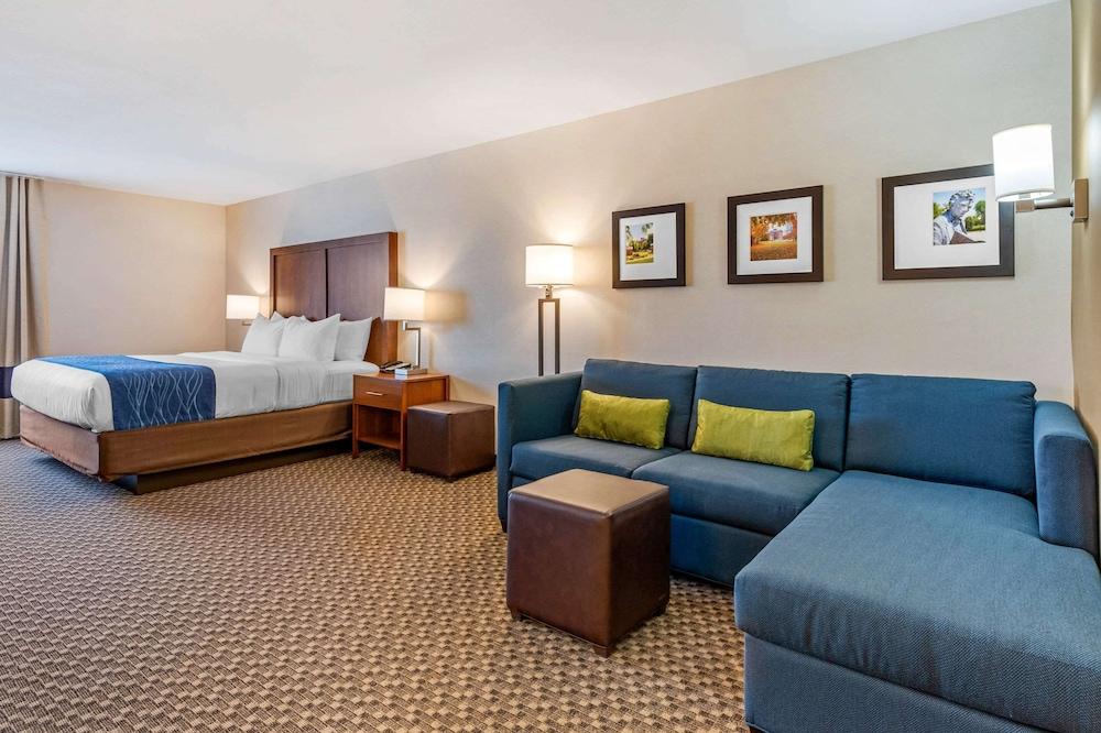 Comfort Inn & Suites near Route 66 photo 19