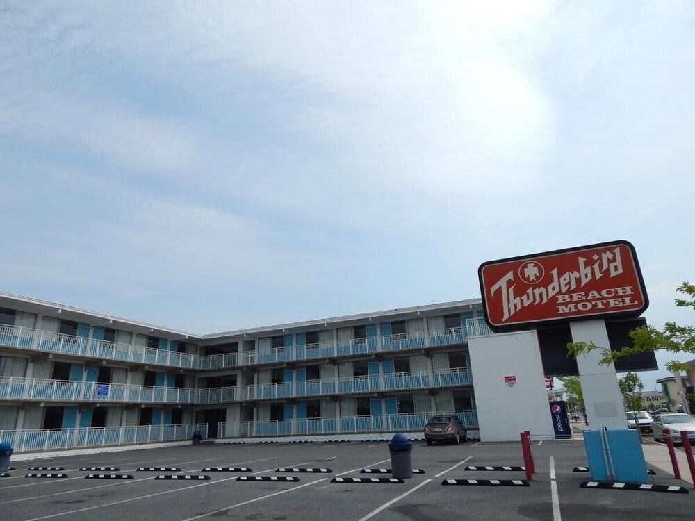 Thunderbird Beach Motel photo 16