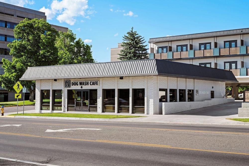 LOGE Missoula photo 37