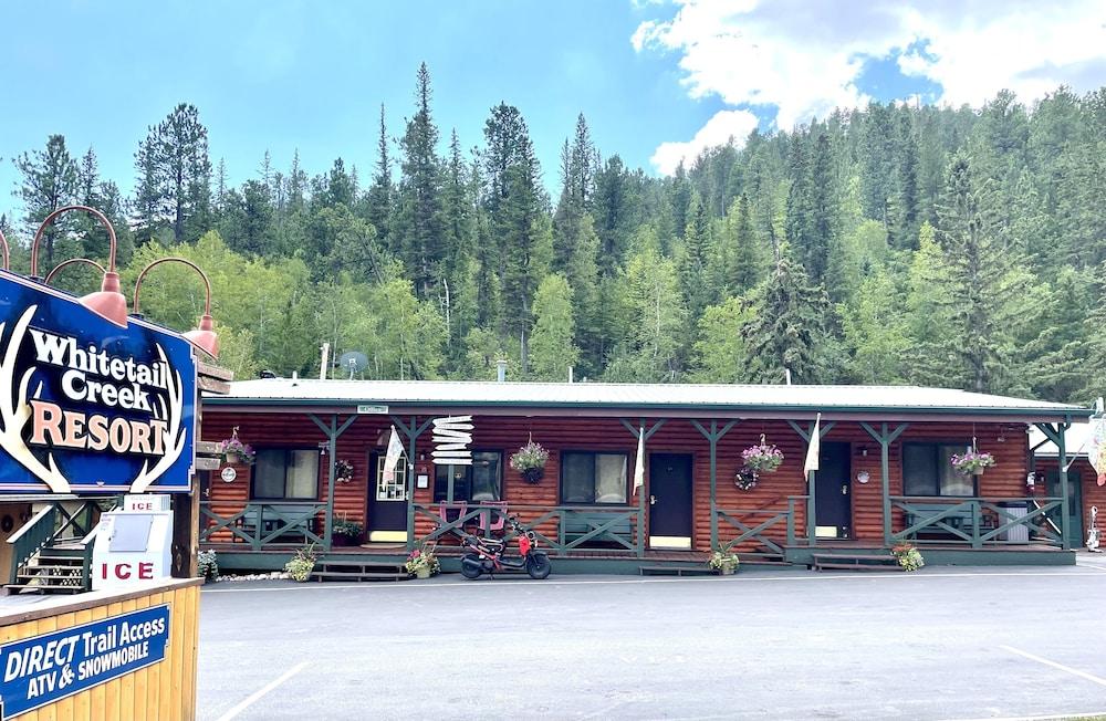 Whitetail Creek Resort — hotel in Lead