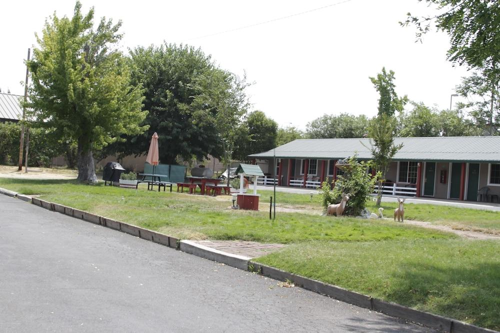 Jumping Frog Motel photo 36