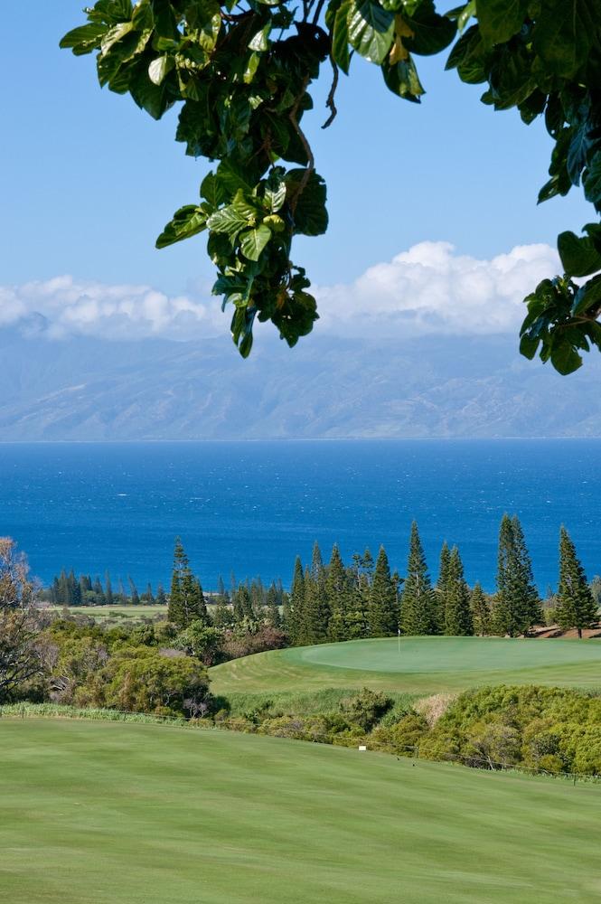The Mauian - Boutique Beach Studios on Napili Bay photo 24
