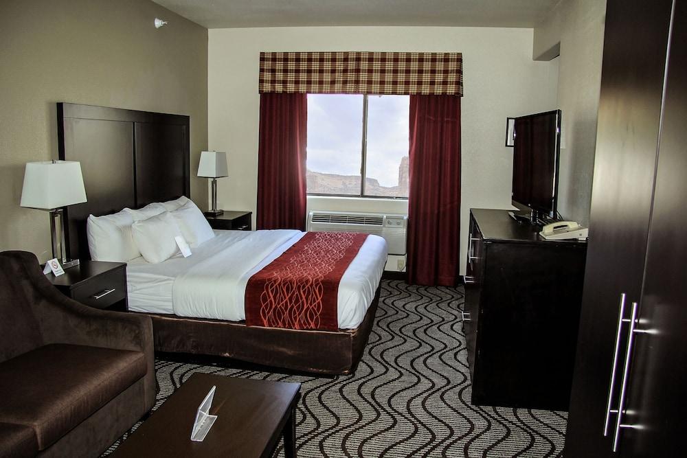 Comfort Inn & Suites Fruita - Grand Junction photo 26