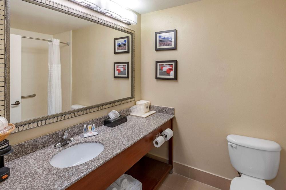 Comfort Inn & Suites Lincoln I-20 photo 12