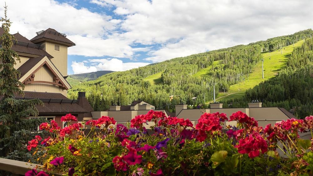 Montaneros in Vail photo 62