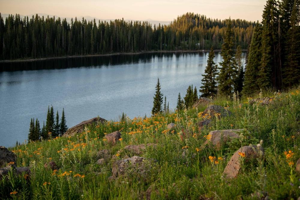 Grand Mesa Lodge photo 87
