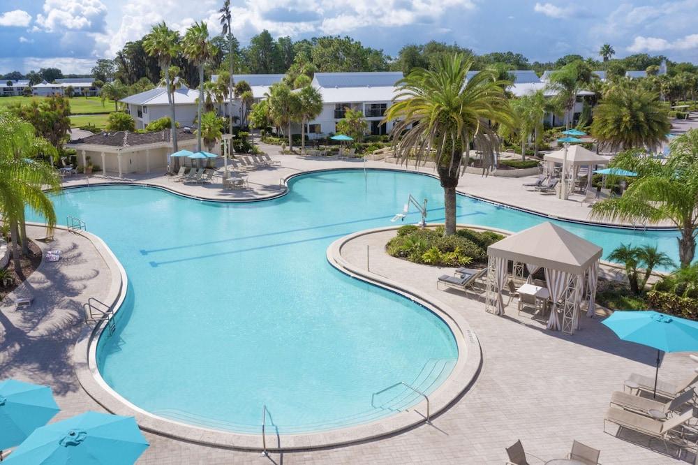 Saddlebrook Resort photo 23