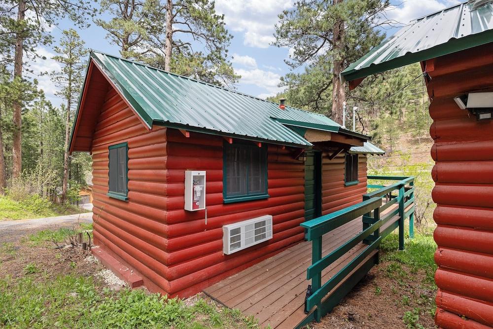Ponderosa Pines photo 61