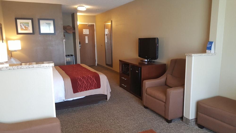 Comfort Inn Idaho Falls photo 7