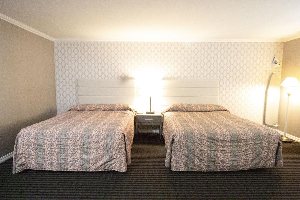 Alpha Inn & Suites photo 2