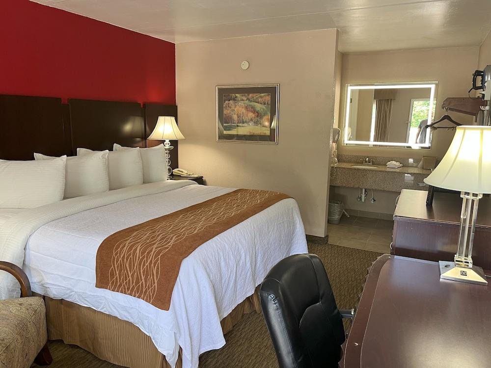 Pine Tree Inn photo 30
