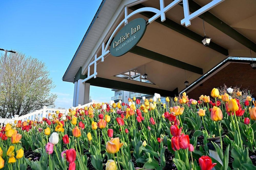 Carlisle Inn Sugarcreek photo 19