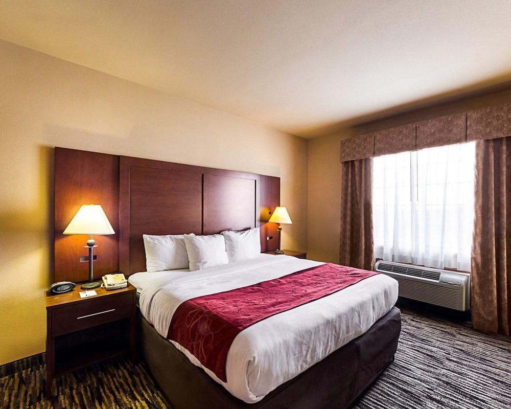 Comfort Suites McAllen photo 11
