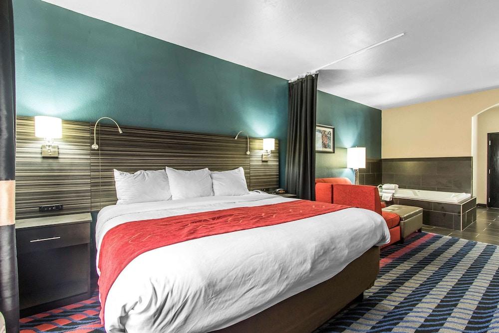 Comfort Suites Fairgrounds West photo 33