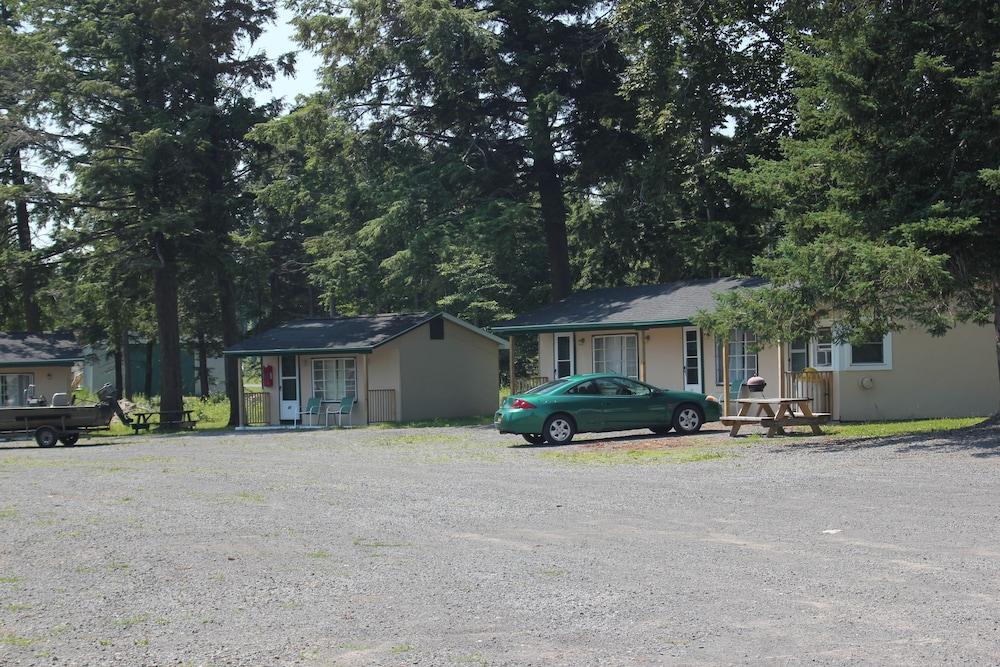The Evergreen Motel photo 86