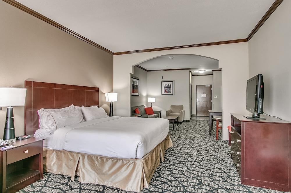 Holiday Inn Express Hotel & Suites Lubbock South by IHG photo 3
