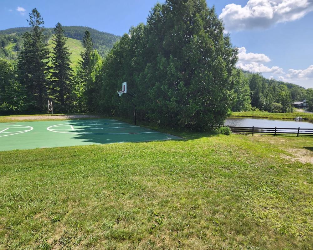 Mittersill Alpine Resort photo 21