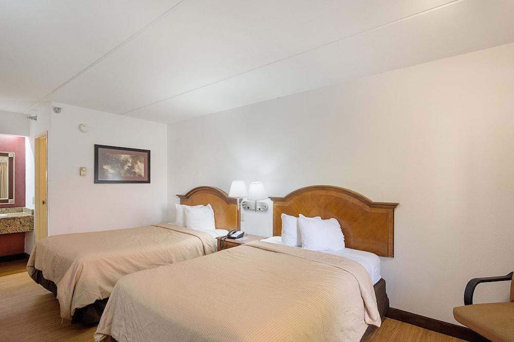 Rodeway Inn Tampa near Busch Gardens - USF photo 12