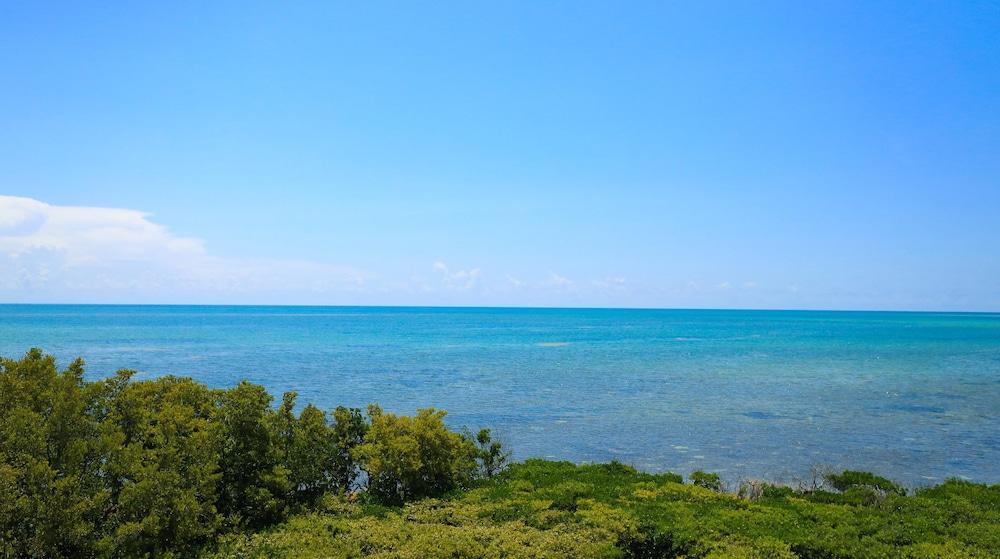 Ocean Pointe Suites at Key Largo photo 11