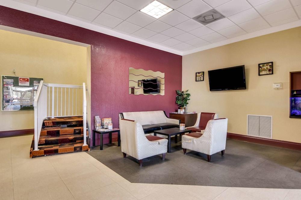 Econo Lodge Tampa near Busch Gardens photo 28