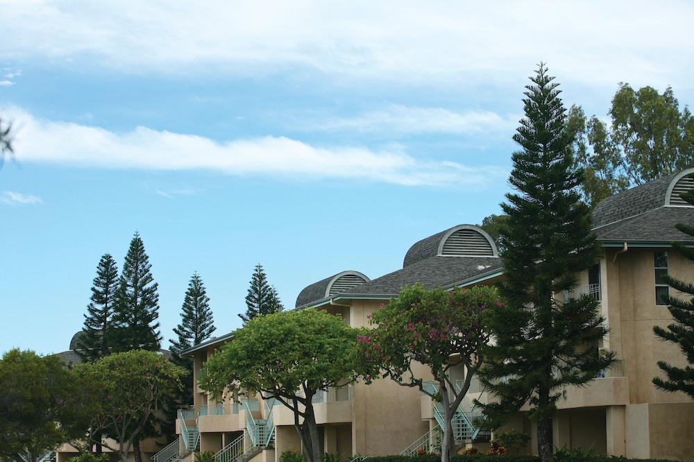 Paniolo Greens At Waikoloa photo 29