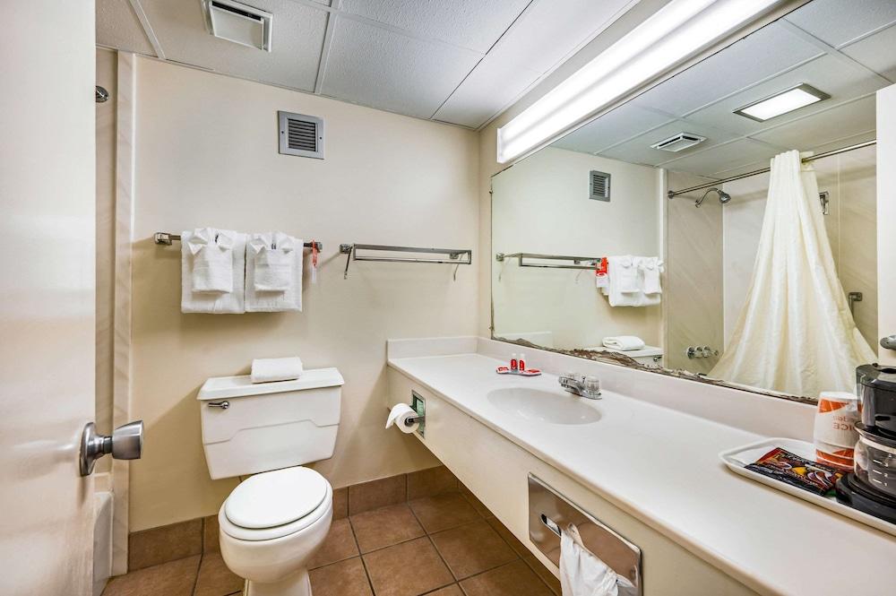 Econo Lodge Corinth photo 9