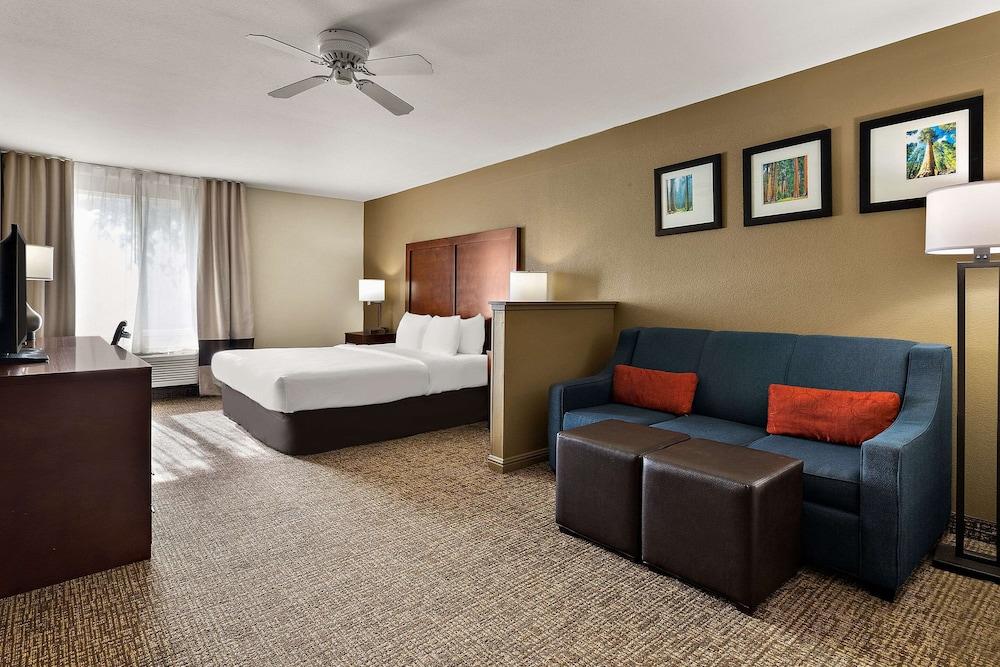 Comfort Inn & Suites Sequoia/Kings Canyon photo 42