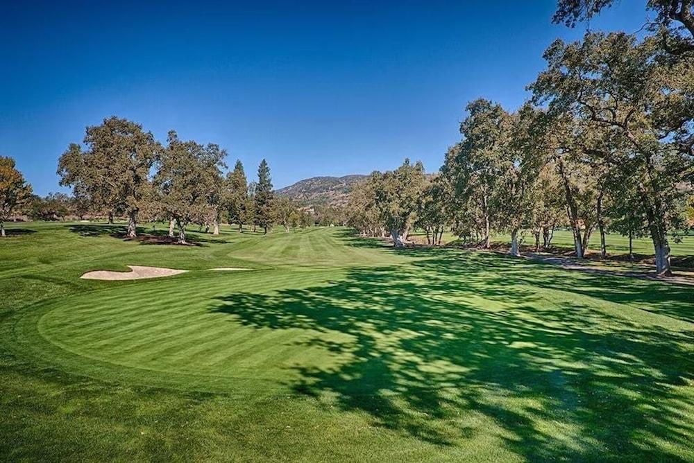 The Napa Residences photo 41
