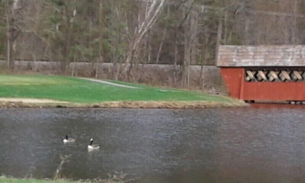 Jack O'Lantern Resort and Golf Course photo 29
