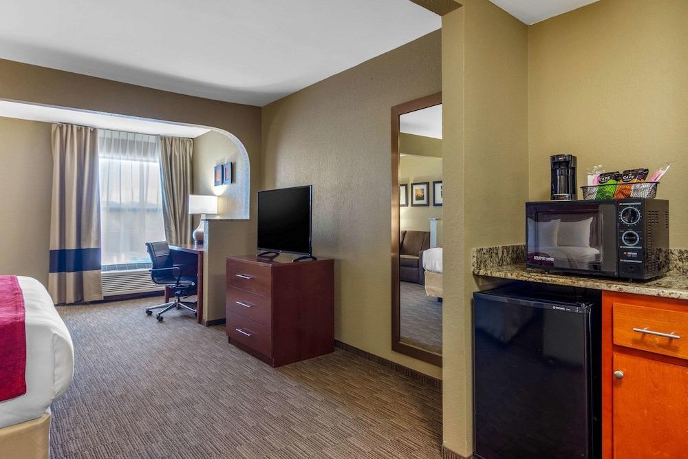 Comfort Inn & Suites LaGrange East photo 26