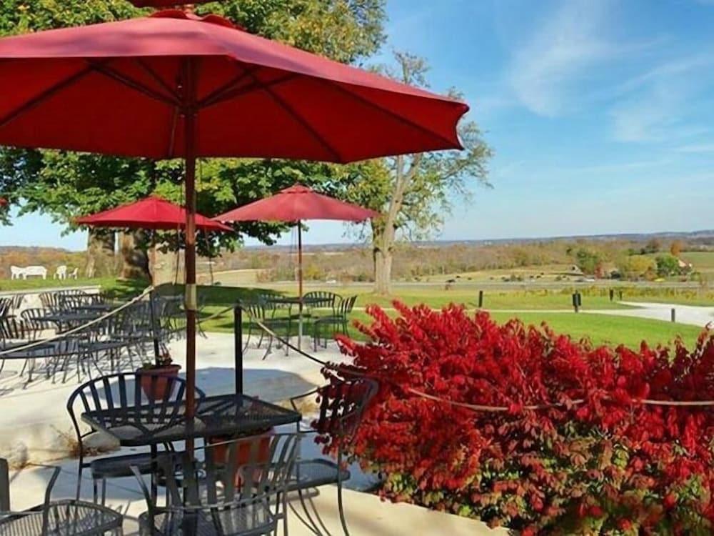 Inn at Springfield Manor photo 24