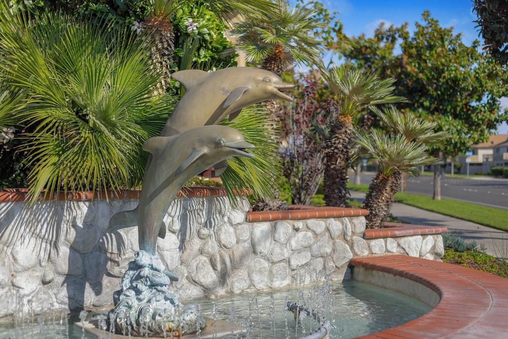 Club Wyndham Dolphin's Cove photo 44