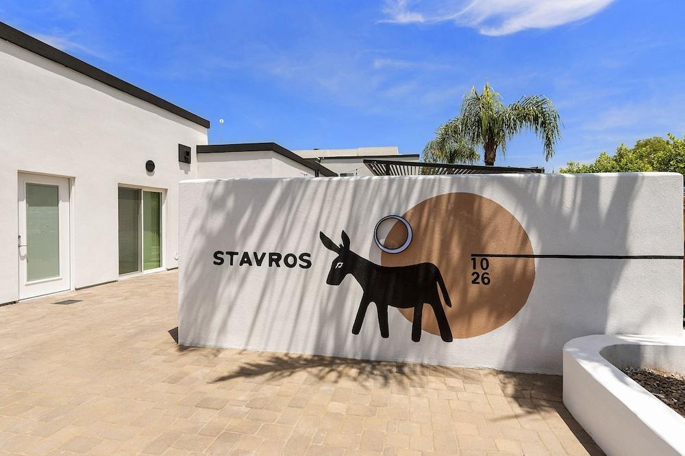 Stavros photo 10